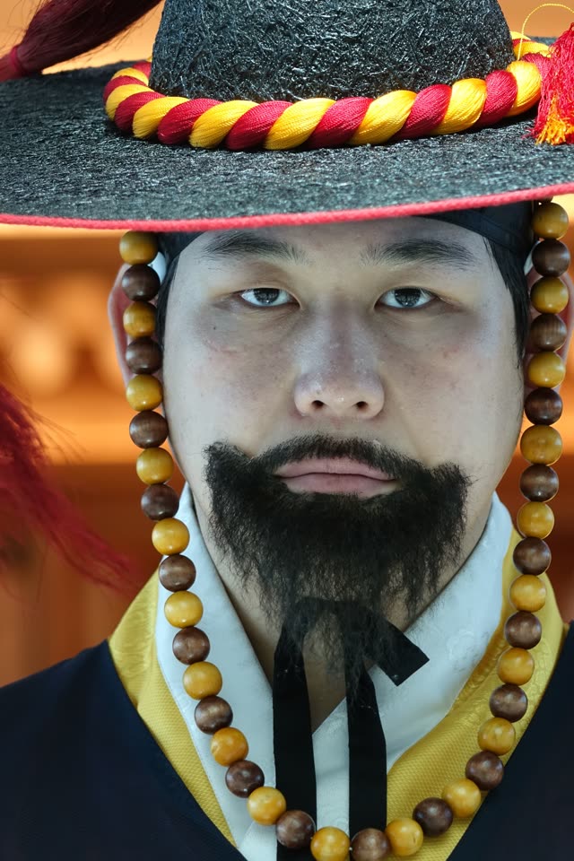 Royal Guard Portrait